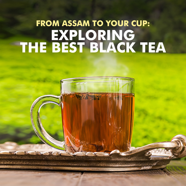 From Assam to Your Cup: Exploring the Best Black Tea