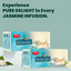 Jivraj Samaara Premium Jasmine Green Tea | Premium Green Tea Bags Combo | Natural Jasmine Flavour | Helps in Metabolism Pack of 3 - 25 Tea Bags/Pack
