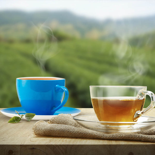 The age long debate of green tea or black tea – which is healthier!
