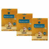 Jiivij Samaara Ginger Instant Premix Tea 10 Sachets | 100% Natural Spices