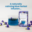 Chai Vedic Butterfly Pea Flower + Ashwagandha Clarity Herbal Infusion Tea