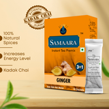 Jiivij Samaara Ginger Instant Premix Tea 10 Sachets | 100% Natural Spices